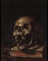 Vanitas