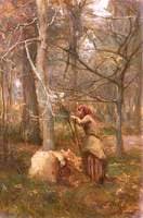 In the Woods at Muthill, Perthshire