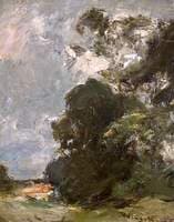 Landscape, Trees and Sky