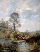 Sheep Washing