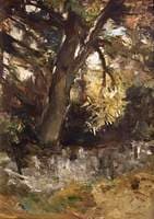 Study of a Tree