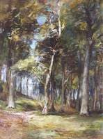 Woodlands at Muthill