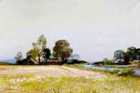 Flowers in the Meadow