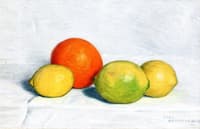 Still Life with Orange and Lemons