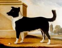 Lord Byron's Dog 'Boatswain'