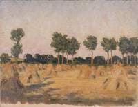 The Cornfield