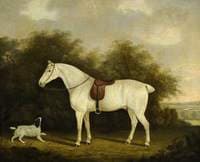 A Saddled Grey Hunter with a Spaniel in a Wooded Landscape