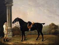 Sheepface, a Black Charger, with Stainsby the Groom