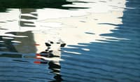 Reflection on the Water