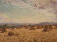 Harvesting: Towards Morehampton
