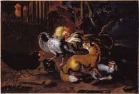 Fox and Poultry