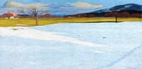 Snow at the Edge of the Forest, Emmenbrücke
