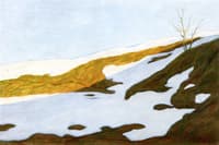 Snow Landscape