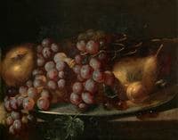 A Still Life of Fruit