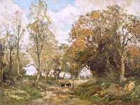 A Woodland Glade