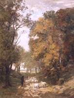 Autumn in the Woods