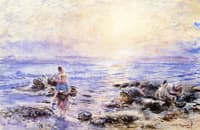 In the Rock Pools