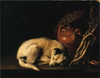 A Sleeping Dog Beside a Terracotta Jug, a Basket, and a Pile of Kindling Wood