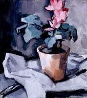 Cyclamen