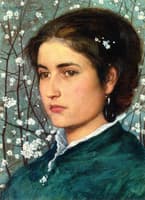 A Young Beauty