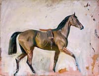 A Bay Horse
