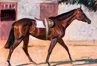 A Bay Racehorse by a Stable