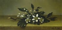 Branch of Orange Blossoms