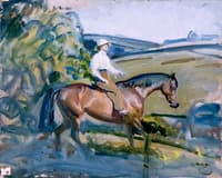 A Lady Riding a Bay Hunter