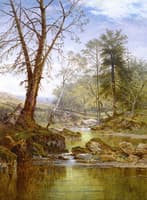 A Sunny Stream - Beardon, Dartmoor