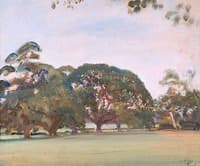 A Parkland Scene with Trees