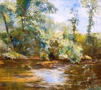 A Stream Overhung by Trees