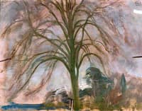 A Tree Study
