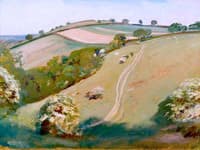 A View on Exmoor with Bushes in Blossom