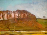 A Wooded Landscape
