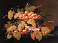 Still Life with Fruit and a Bird's Nest