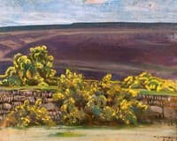 An Exmoor Landscape with Gorse