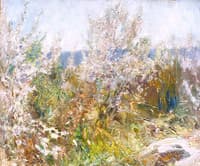 Blossom