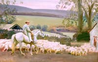 Bringing Home the Sheep, Withypool, Exmoor