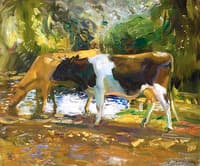 Cattle Watering in a Stream, Zennor, Cornwall
