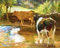 Cows at Water, Lamorna