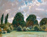 Elm Trees