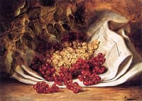 Gooseberries