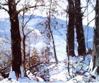Across the Valley