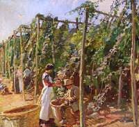 Hop-Picking