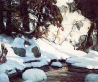 February Gaiety