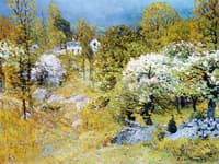 Spring Blossoms