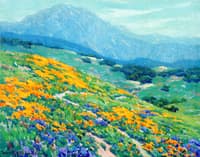Poppies and Lupine in a California Landscape