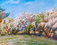 May Blossom