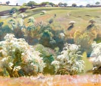May on Exmoor