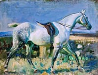 My Grey Mare